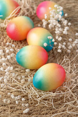 Fototapeta na wymiar Easter painted colorful natural chicken eggs with dried hay and flowers scattered on rustic background.