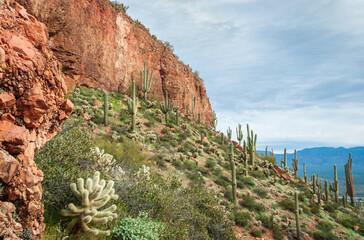 Cliff Landscape, Tonto National Monument