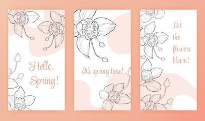 Social media stories publication layouts with many large linear orchids. Spring art banners set. Big hand drawn outline blooming flower branch, closed buds. Elegant advertising concept. Floral cover