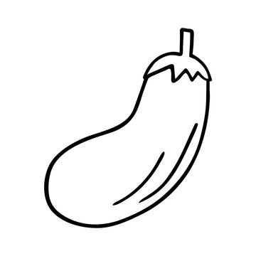 Eggplant doodle, cooking nutrient. Hand-drawn vegetarian food, proper eating, healthy diet. Sketch, minimalism, line art. Isolated. Vector illustration