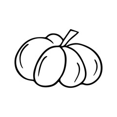 Pumpkin doodle, Halloween decoration. Hand-drawn gourd, vegetarian food, proper nutrition, healthy diet. Sketch, minimalism, line art. Isolated. Vector illustration