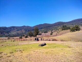 Hills of Kodaikkanal, Tamilnadu, India