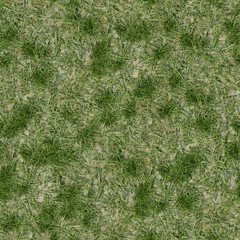 Dosch Textures - Grass Surfaces