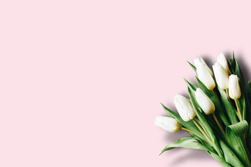 Tulpen / Textfreiraum
