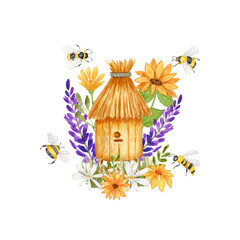Watercolor illustration with Wooden beehive in lavender and sunflower flowers. Bees, wild flowers and grass. Design for products with honey. Isolated on a white background.