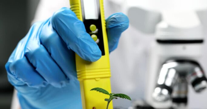 Scientist botanist checking soil acidity with plant sprout using ph meter closeup 4k movie slow motion