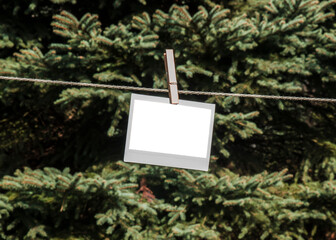 Puste zdjęcie, ramka polaroid, zawieszona na sznurku, na tle drzewa iglastego w słoneczny dzień
