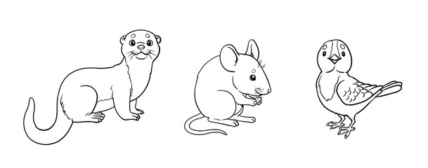 Cute mouse, otter and bird to color in. Template for a coloring book with funny animals. Coloring template for kids.