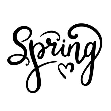 Spring word with heart. Design for print on t shirt, decoration, engraving, tattoo. Script spring text. Hand drawn lettering.Vector illustration isolated on white.