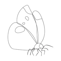 Continuous one line drawing butterfly. Spring concept. Single line draw, vector graphic illustration.