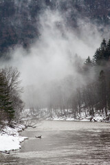 Obraz na płótnie Canvas foggy mountain river bend with trees in a background