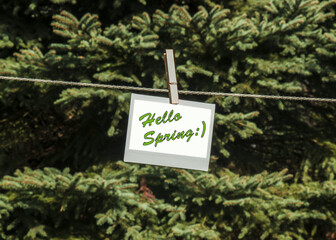 kartka z napisem Hello Spring na tle iglastych drzew w słoneczny dzień - obrazy, fototapety, plakaty