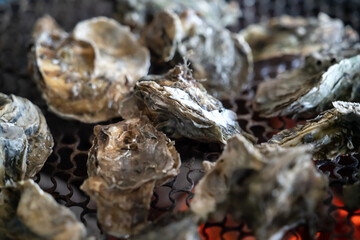 Grilled fresh oyster in Taiwan, famous street food.