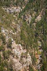 View of Rock Formations and Trees at Oak Creek Canyon