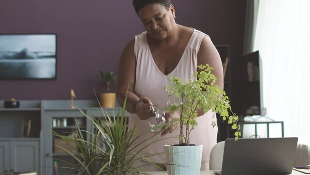 Medium shot of adult Black woman in homewear spraying potted house plants in modern living room