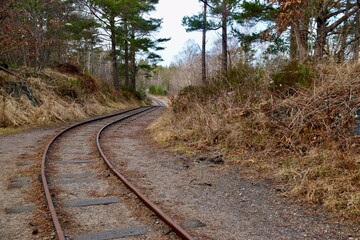 Fototapeta premium WW2 Railway lines through Woods at Kristainsand, Norway. Closr to WW2 German Gun Emplacement. 