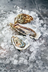 Oysters with lemon on ice on gray background close-up
