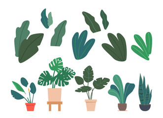 Set Potted Palm Trees And Houseplants Monstera, Ficus, Spatifillum Exotic Plants In Flowerpots Vector Illustration