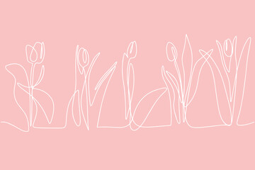 Tulips drawn in one line. Vector illustration isolated on a pink background