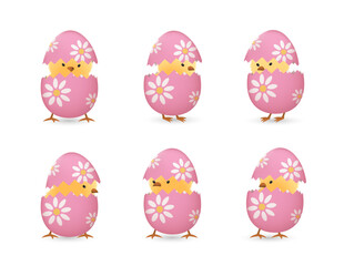 Chicks in broken Easter eggs with flowers set