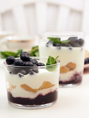 Fresh blueberry sweet layered dessert