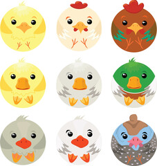 Farm birds set. Duck, drake, duckling, chicken, rooster, chick, goose, gosling, guinea fowl.