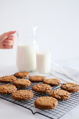 Delicious homemade cookies on a drying rack and a glass of milk