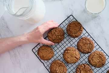 Top view of how a hand holds a delicious homemade cookie on the background of a grid for drying and