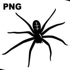 Black spider on the white background. PNG illustration
