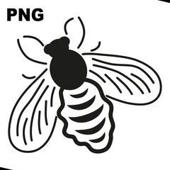 Fly icon on the white background. PNG illustration