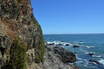 a rocky beach in southern Chile in summer