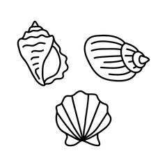 Vector shells in the doodle style. hand drawn seashells black outline sketch isolated elements on white background for design template