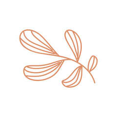 Botanical hand drawn vector element. foliage, leaf branch, floral in line art illustration design for logo, wedding, invitation, decor.