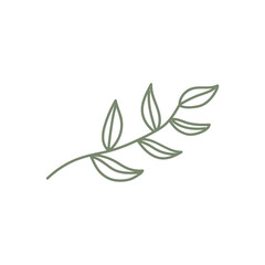 Botanical hand drawn vector element. foliage, leaf branch, floral in line art illustration design for logo, wedding, invitation, decor.