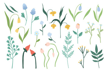 Vector set of spring flowers and leaves isolated on white background, roses, tulips, greenery, twigs