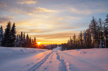 winter sunrise in the forest, snow-covered road on Holica in the Bieszczady Mountains