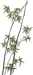 Retro Chinese style illustration elegant plant bamboo