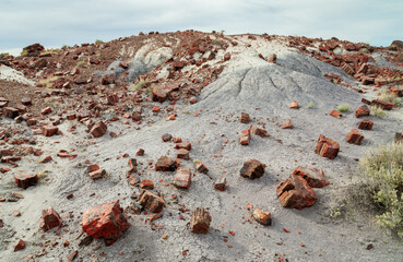 Purple Earth and Wood at Petrified Forest National Park