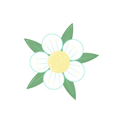 Vector illustration of flower. It may be a strawberry flower.