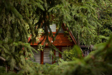 Drewniany domek kempingowy w lesie - obrazy, fototapety, plakaty