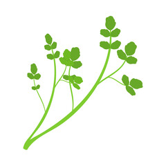 クレソン（オランダガラシ）。フラットなベクターイラスト。
Water cress. Flat designed vector illustration.