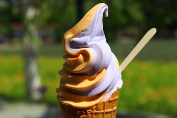 2色のソフトクリーム