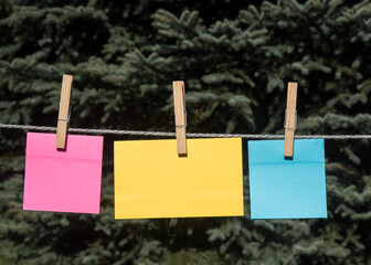 kolorowe kartki zawieszone na sznurku na tle przyrody w słoneczny dzień