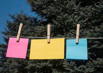 puste kolorowe kartki wiszące w ogrodzie na sznurku w słoneczny dzień - obrazy, fototapety, plakaty