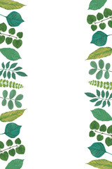 青葉のフレーム背景