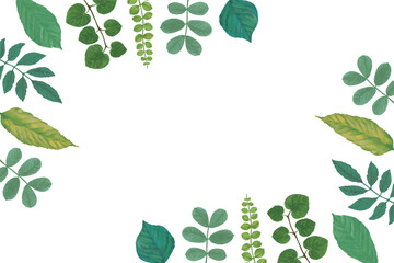 青葉のフレーム背景