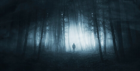 man silhouette in dark fantasy forest at night - 576312642
