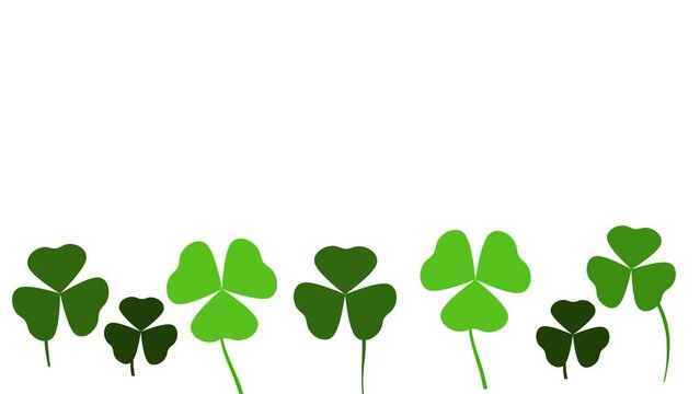 simple video animation with green clover