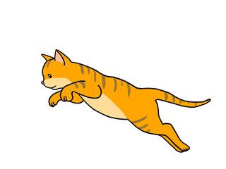 勢いよく空に飛び出している黄色いトラ猫の子猫
