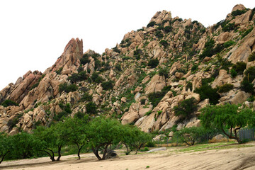 Texas Canyon Sonora Desert Arizona